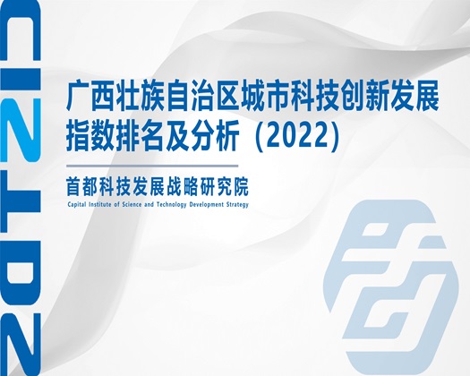 艹比网【成果发布】广西壮族自治区城市科技创新发展指数排名及分析（2022）